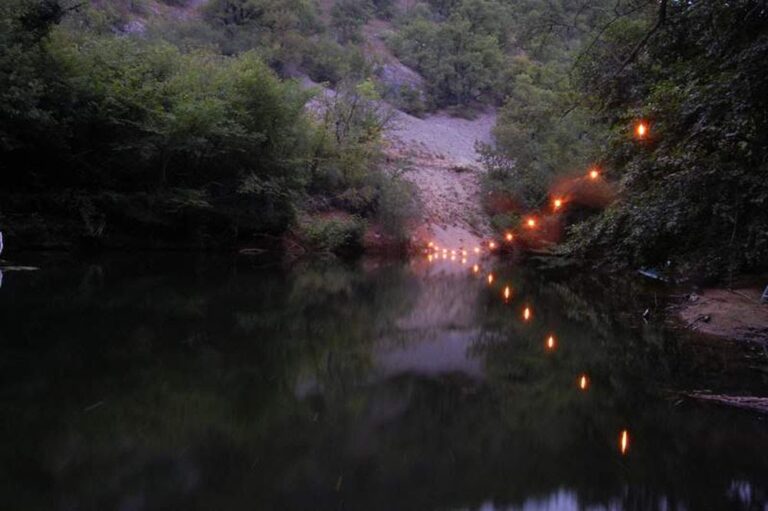 A serene evening scene of a calm river surrounded by dense trees and verdant foliage. Warm string lights are strewn across the trees, reflecting softly on the water’s surface, creating a tranquil and enchanting atmosphere reminiscent of a living artwork.